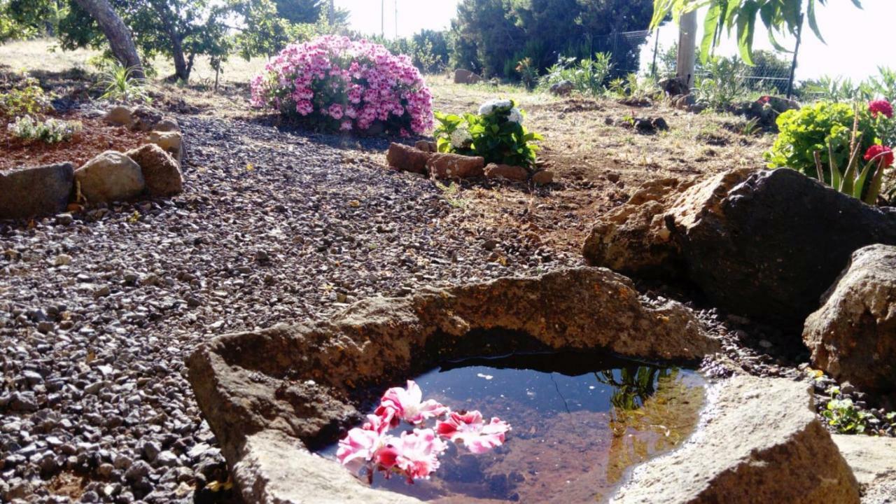 منزل الضيف Garafía  في El Limonero المظهر الخارجي الصورة