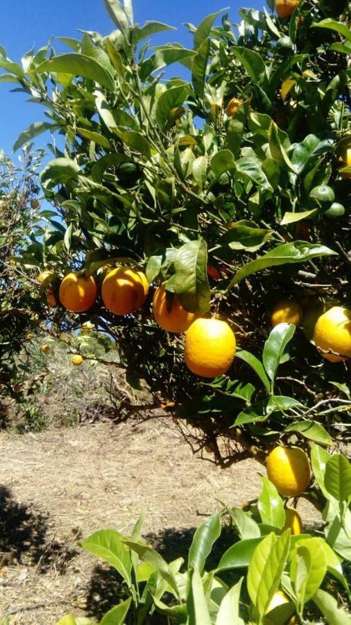 منزل الضيف Garafía  في El Limonero المظهر الخارجي الصورة